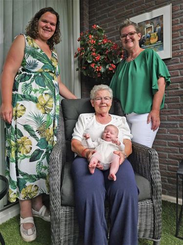 Viergeslacht in Budel/Achel - Hamont-Achel