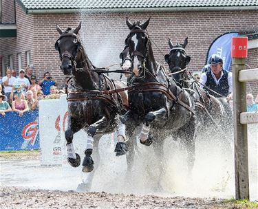 Vergunning WK vierspannen ingetrokken