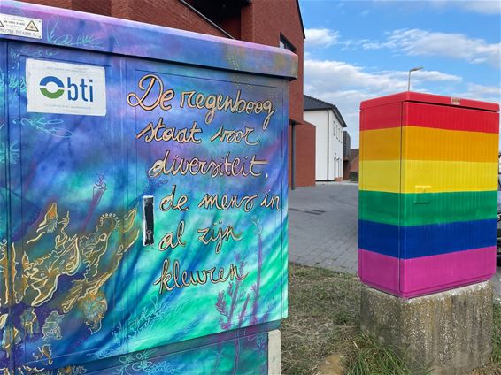 Vijf regenboogkastjes kleuren het straatbeeld - Beringen