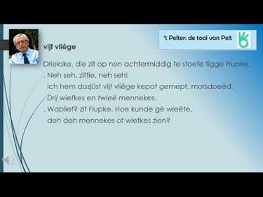 Pelt - Vijf vliêge