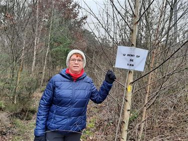 Vijfde 'Teruguitjekotwandeling' - Beringen