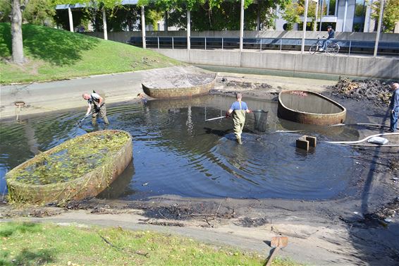 Vijver Astridpark aan 'grote beurt' toe - Lommel