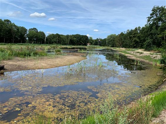 Vijver De Bever wordt weer drooggelegd - Hamont-Achel