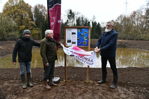 Vijvergebied Geneberg hervormd tot natuur - Beringen