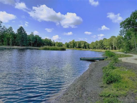 Vijveroevers bij De Bever worden groener - Hamont-Achel