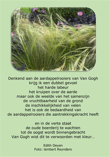 Vincent van Gogh - Beringen & Leopoldsburg