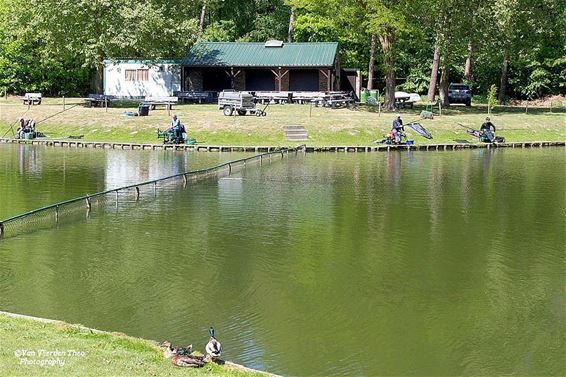 Vissen aan de Kettingbrug - Hamont-Achel