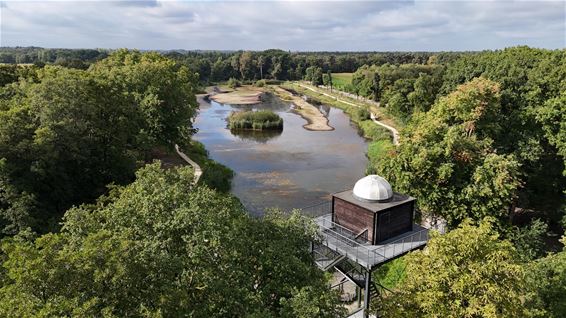 Vissen uit De Bever tijdig gered - Hamont-Achel