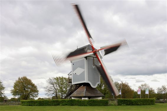 Vlaamse Open Molendag aan de Leyssensmolen - Lommel