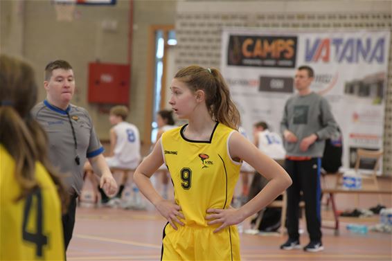 Vlaamse Talent Day basket - Beringen