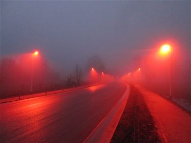 Vleermuisvriendelijke verlichting - Beringen