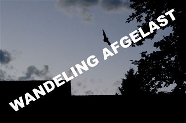 Vleurmuizenwandeling afgelast - Beringen