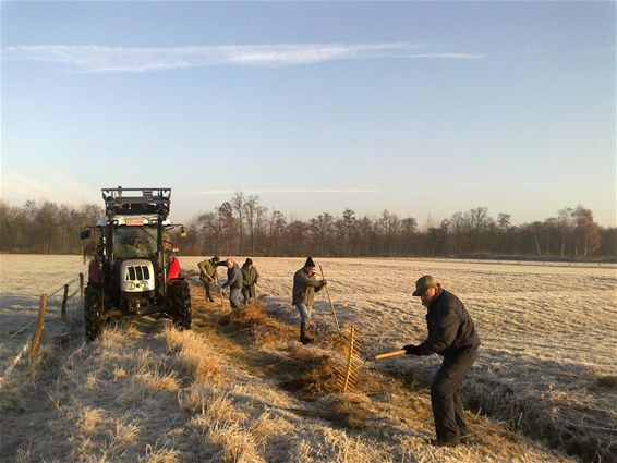 Vloeiweiden klaar voor de winter - Lommel