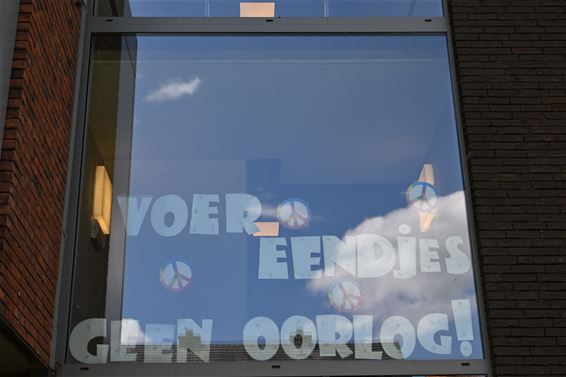 Voer eendjes, geen oorlog - Beringen