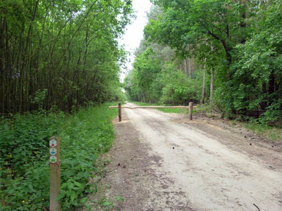 Voertuigen uit bossen geweerd - Meeuwen-Gruitrode