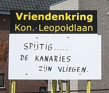 Voetbaltranen in de Leopoldlaan - Lommel