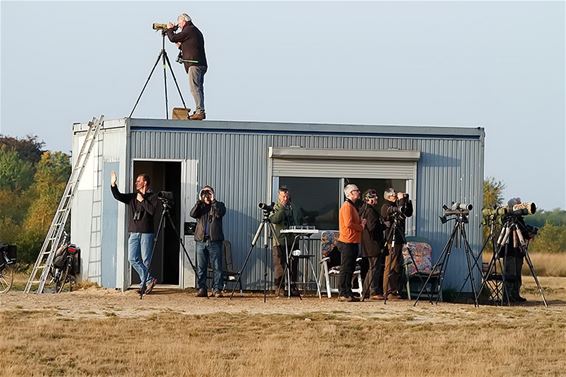 Vogeltrektelling Maatheide 2017 afgesloten - Lommel