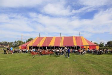 Volgende zaterdag: 'Bier & Bokes' - Lommel