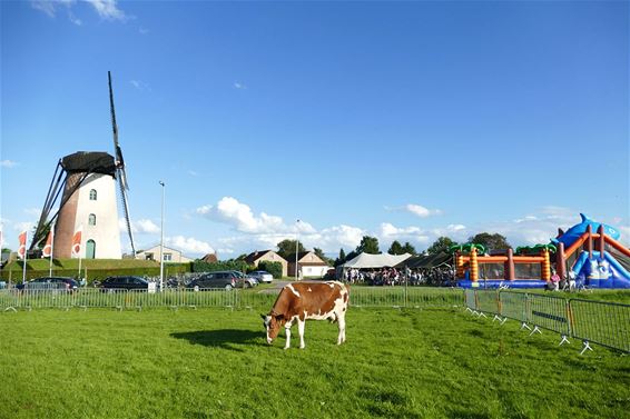 Volkssportnamiddag in Lille - Neerpelt