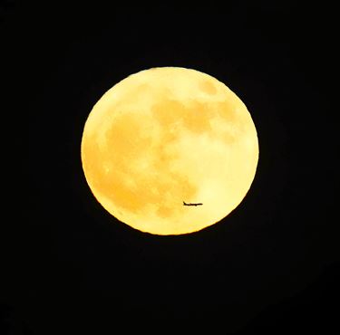 Volle maan - Beringen & Leopoldsburg