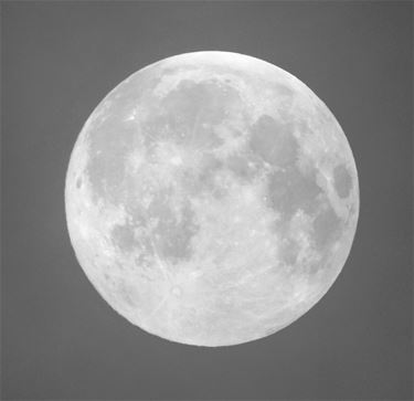 Volle maan - Beringen & Leopoldsburg