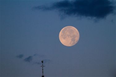 Volle maan - Beringen