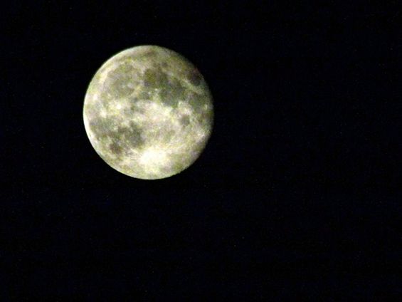 Volle maan met zwarte vlekken - Peer