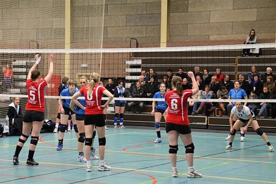 Volley: Hevoc verliest van leider - Hechtel-Eksel