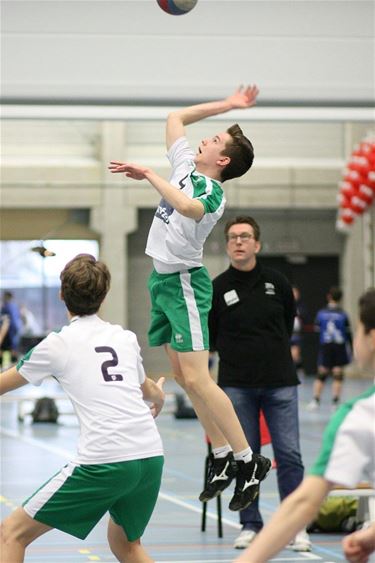 Volley-jongens U15 Avoc bekeren verder - Hamont-Achel