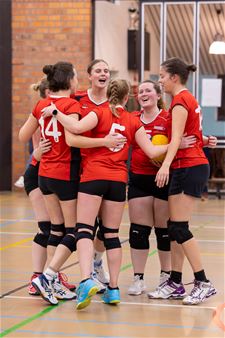 Volley: liefhebbers dames verliezen van Bree - Lommel