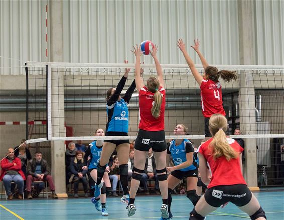 Volleybal: dames HE-VOC kloppen Wellen - Hechtel-Eksel