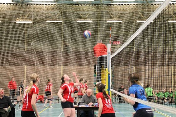 Volleybal: heren winnen, dames verliezen - Hechtel-Eksel