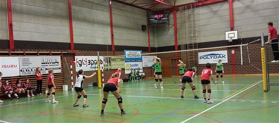 Volleybal: winst voor AVOC-heren - Hamont-Achel