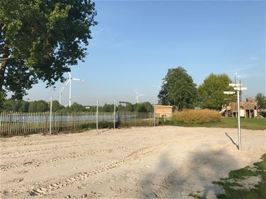 Volleyballen aan de Paalse Plas - Beringen