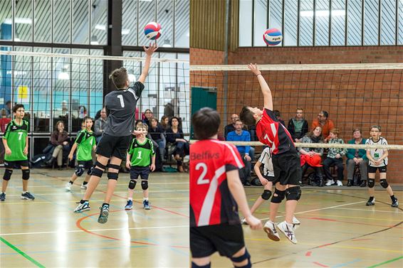 Volleybaltornooi voor de jeugd in volle gang - Lommel