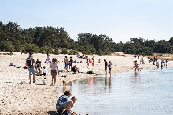 Volop genieten in onze Sahara - Lommel