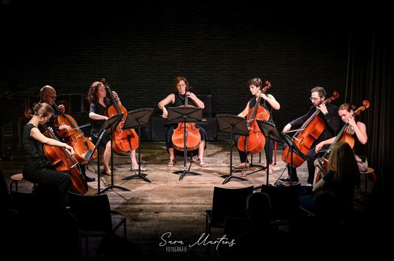 Volwassenenconcert in KANL - Pelt