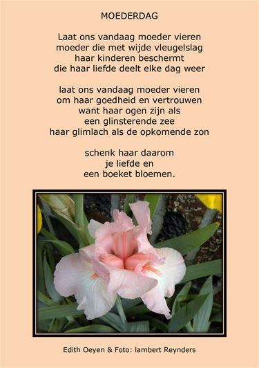 Voor alle moeders - Beringen