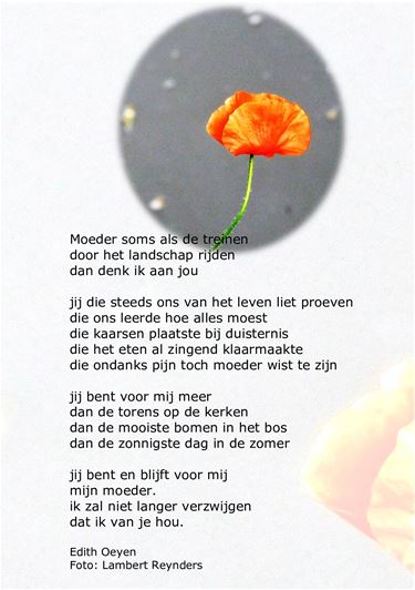 Voor Moederdag - Beringen & Leopoldsburg