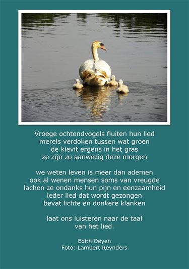 Voor vroege ochtendvogels - Beringen & Leopoldsburg