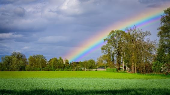 Voor wie een pot met goud zoekt? - Pelt