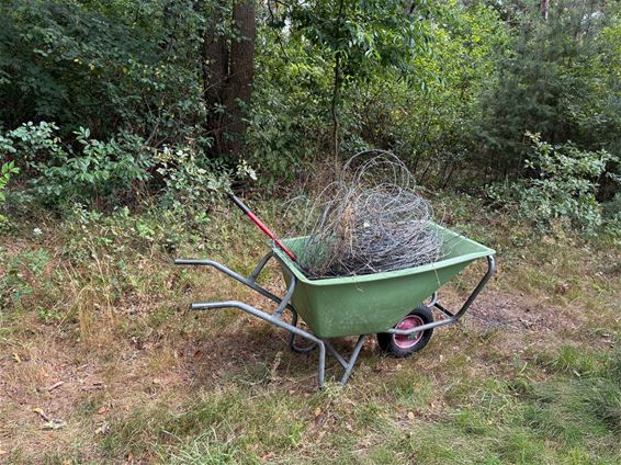 Voorbereidende werken in Lindelsbos gestart - Pelt