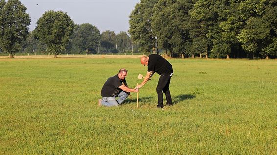 Voorbereiding festivalterrein Blues Peer begonnen - Peer