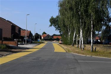 Voorstel voor extra fietssuggestiestroken - Beringen