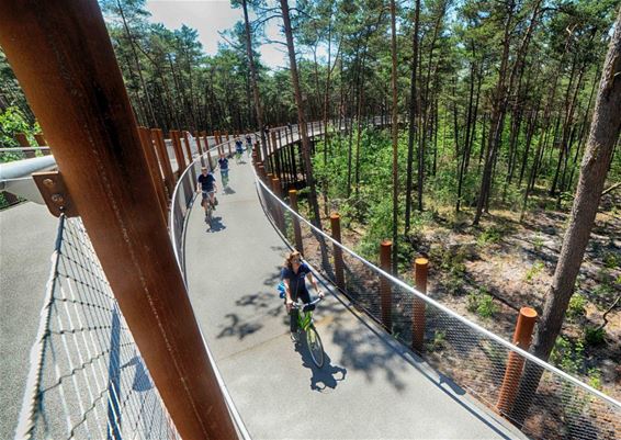 Voortaan 'Fietsen door de bomen' - Hechtel-Eksel