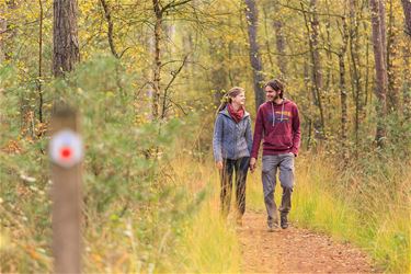 Vorig jaar 260.000 wandelaars in Bosland