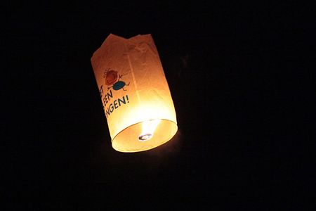 Vorige nacht gezien... - Overpelt