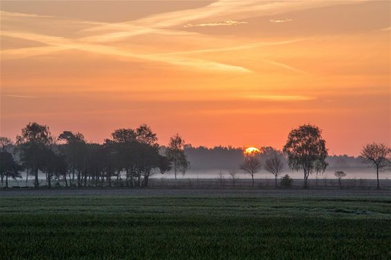 Vorst aan de grond... - Neerpelt