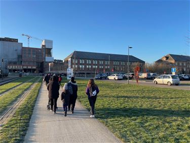 Vraag over ontwikkeling Houtpark - Beringen