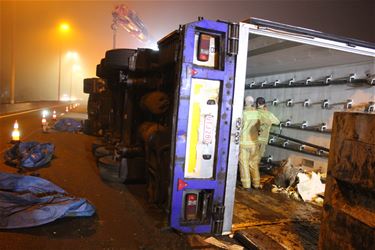 Vrachtwagen met varkens gekanteld op E313 - Beringen